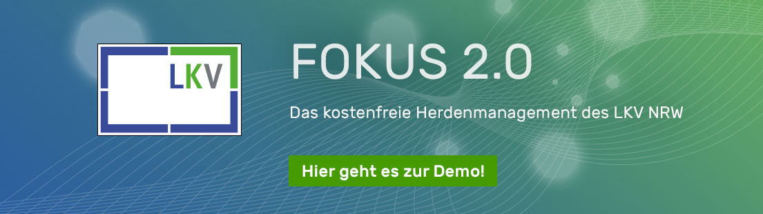 FOKUS 2.0 - Hier geht es zur Demo!